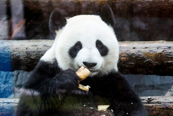    Алексей Белкин/NEWS.ru