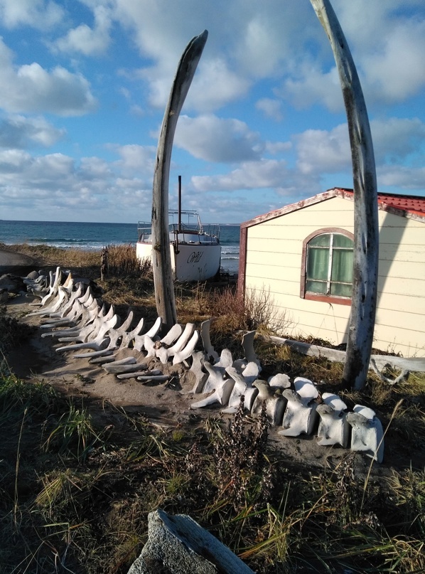 Живописный домик в Никольском. Фото автора 