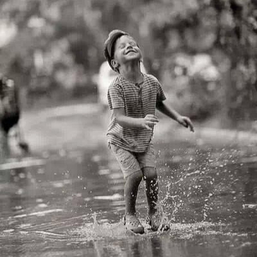 Из открытых источников интернета.