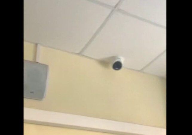    Фото: Telegram-канал Екатерины Мизулиной