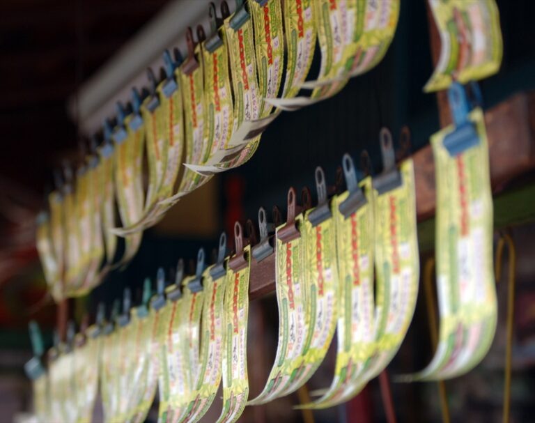    Фото: flickr.com / Fatboo Ксения Евдокимова