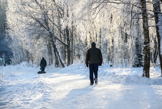    Сергей Лантюхов/NEWS.ru