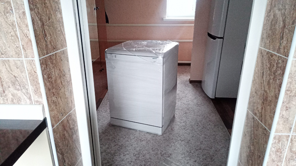 Посудомойка из домика Виктора готова к переезду в его квартиру)