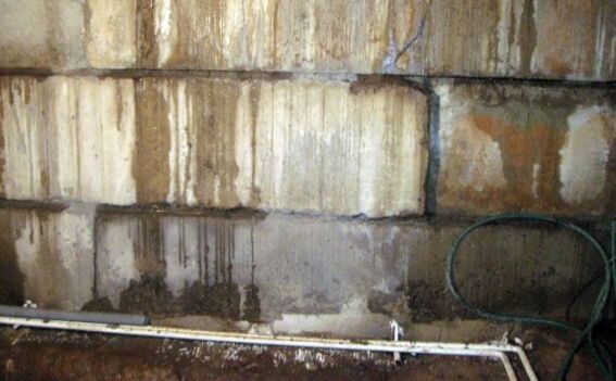 Вот это наш подпол