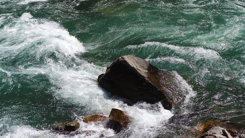      Фото: соцсети Владимира Владимирова