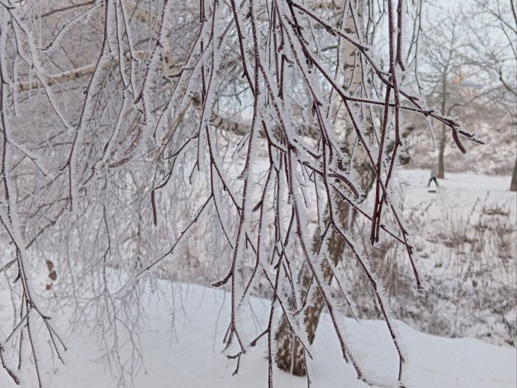    Фото: t.me/meteofreak