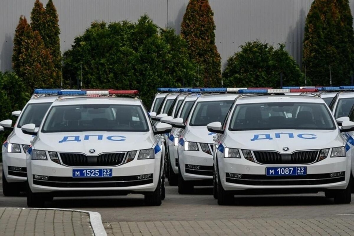 Фото: Кирилл ВЕРШИНИН /КП