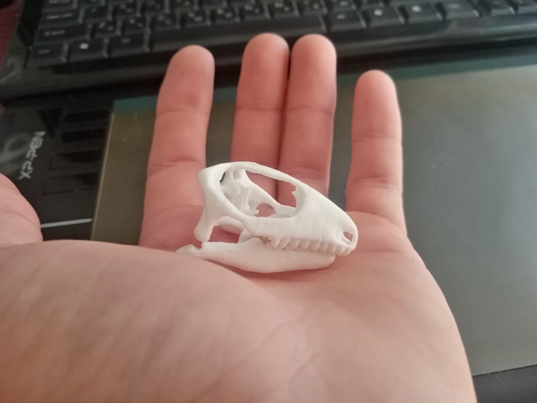 Фотография если что не моя.