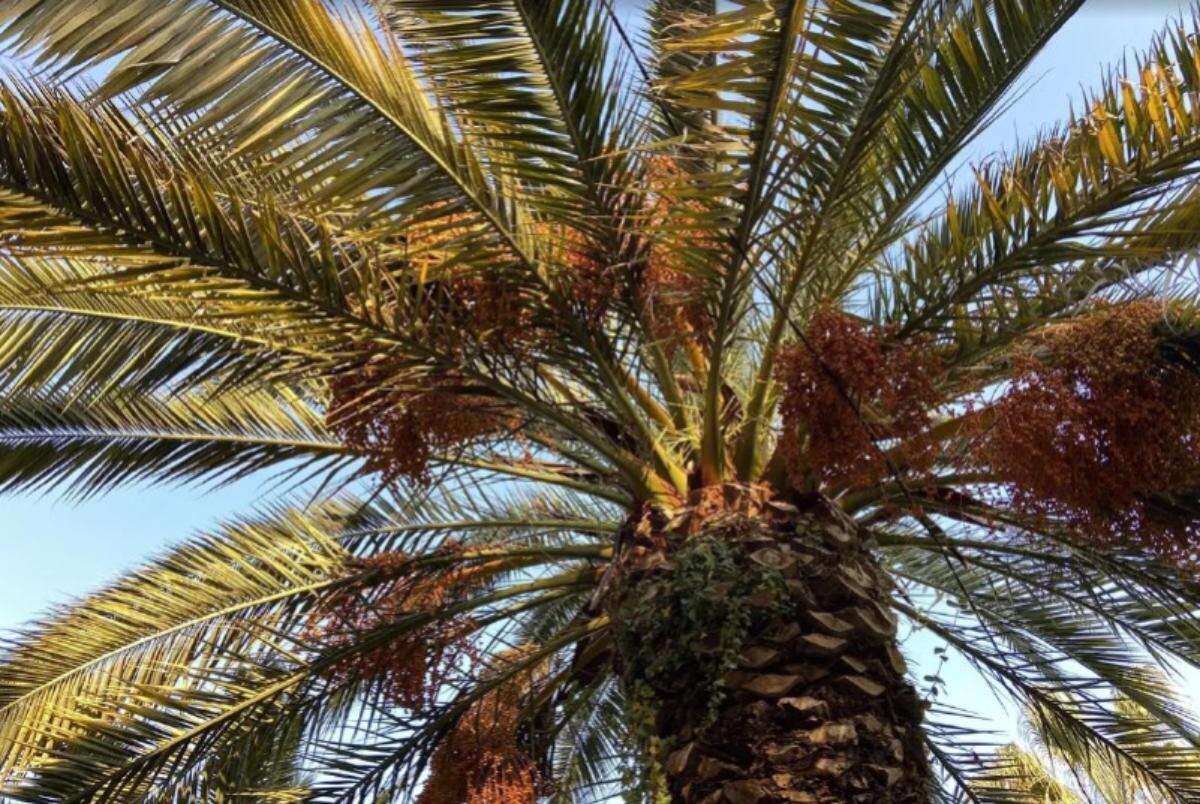 Фото: Утренний Юг