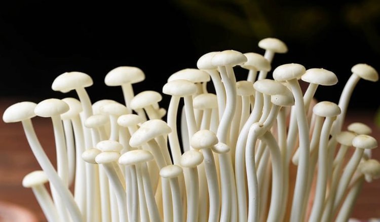    Китайские грибоводы увеличили поставки в Россию