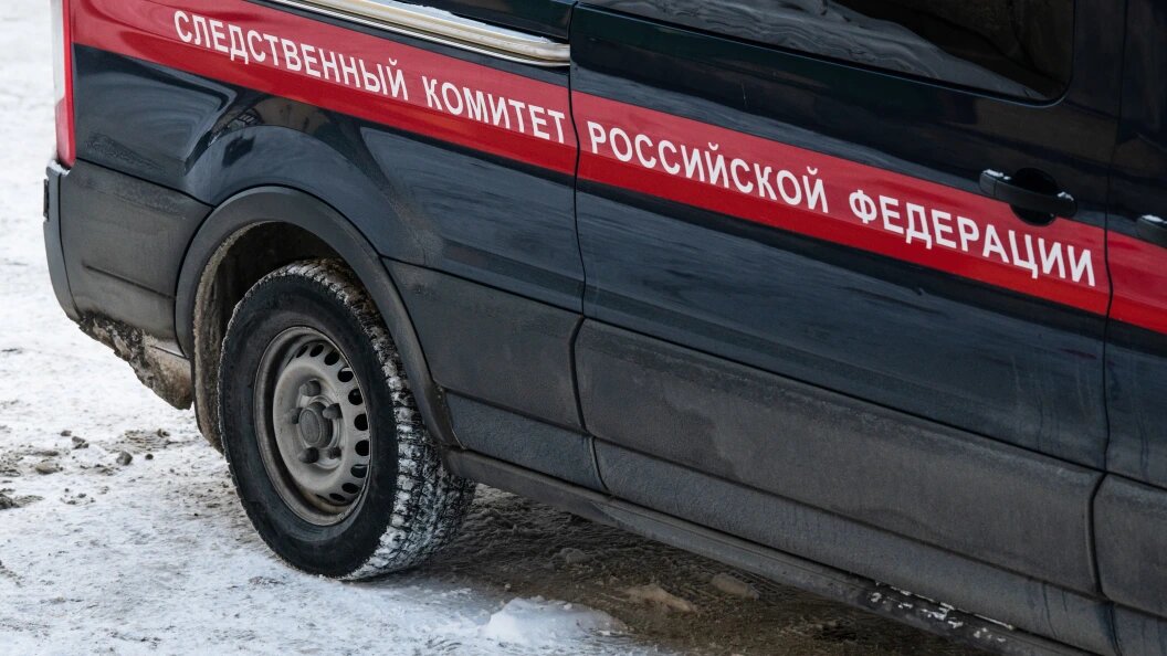    Фото: Ilya Moskovets/URA.RU/Globallookpress