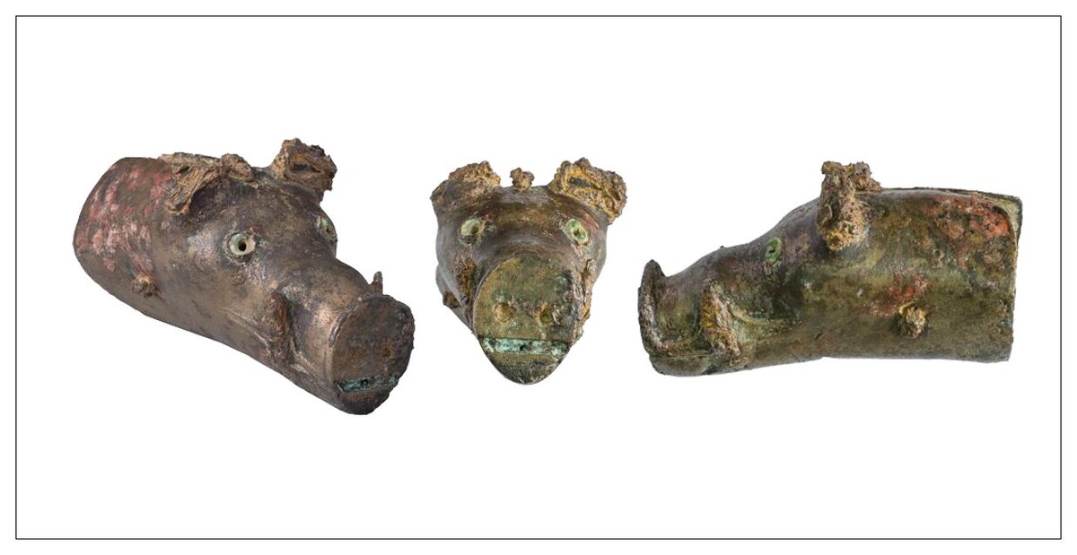 Фрагменты иллюстраций к статье Фирсова К.Б., Строкова А.А. «Навершие римского времени в виде головы кабана из "Золотого кладбища": исторический контекст и естественнонаучные исследования»
