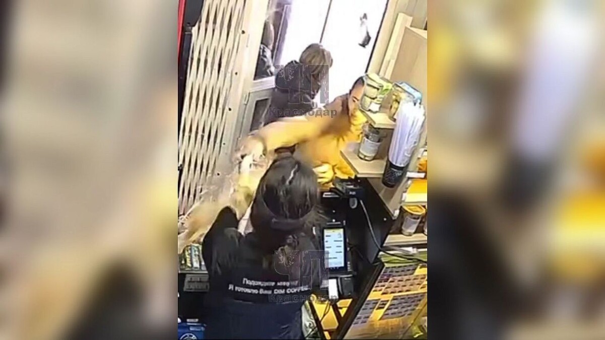    Фото: t.me/chp_krd