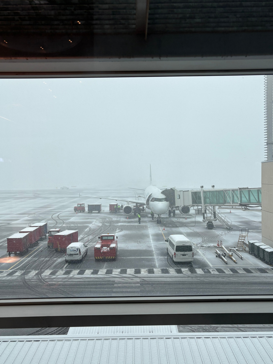 Пересадка в аэропорту Еревана