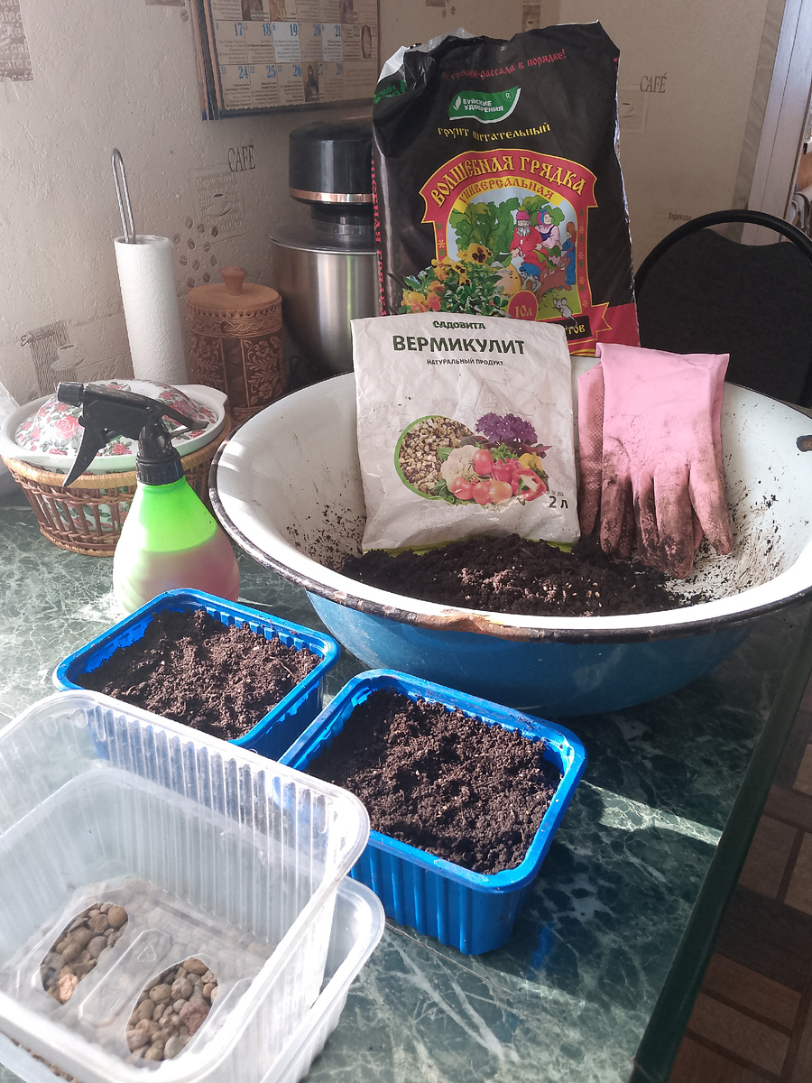 рабочие моменты