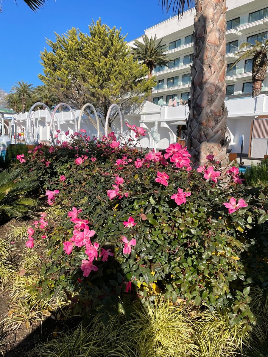 Цветов и цветочков множество!