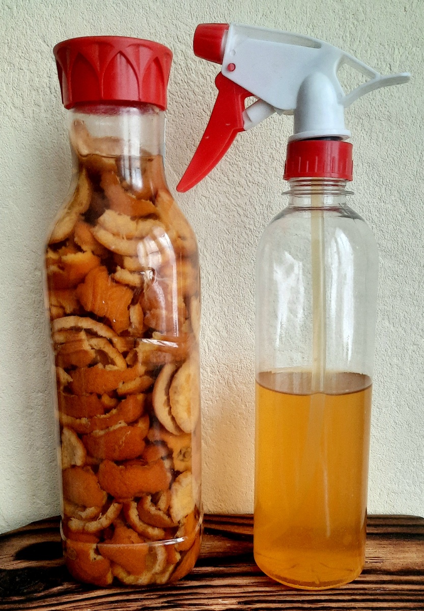 Фото автора.