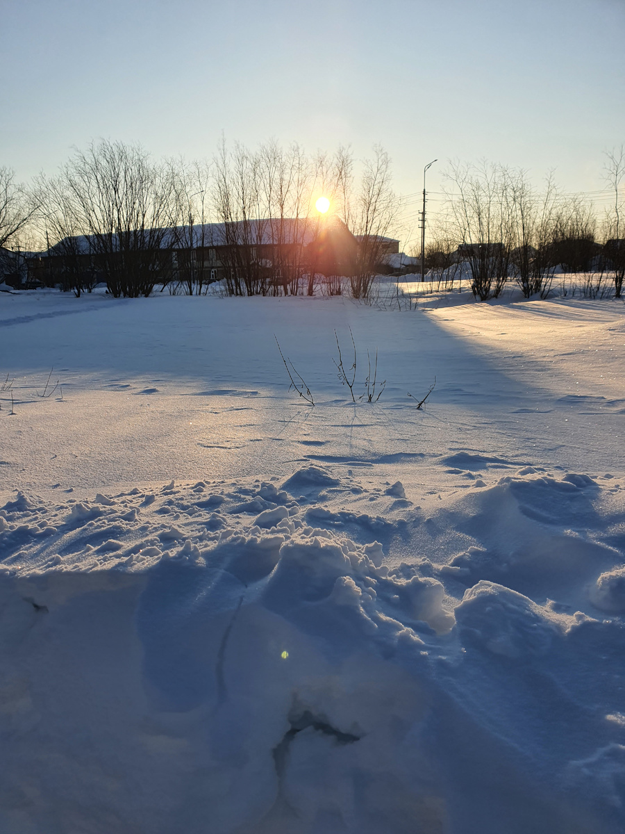 Утреннее солнце среди сугробов