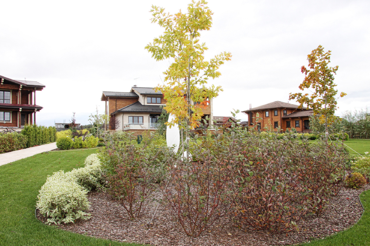 Мульчирование в саду