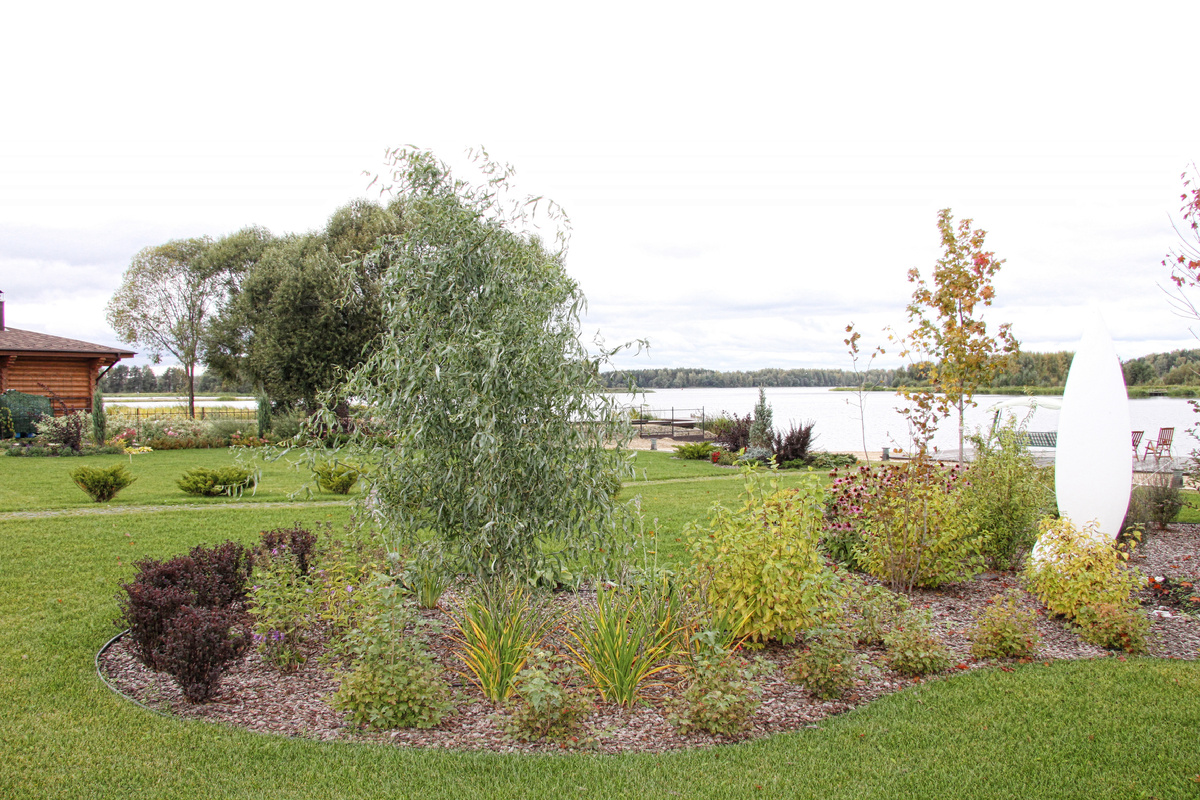 Мульчирование в саду