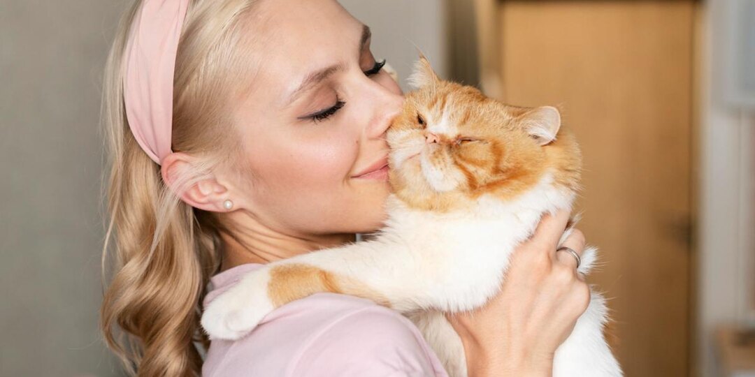 Этот простой способ сделает вашего кота счастливее — многие об этом не знают