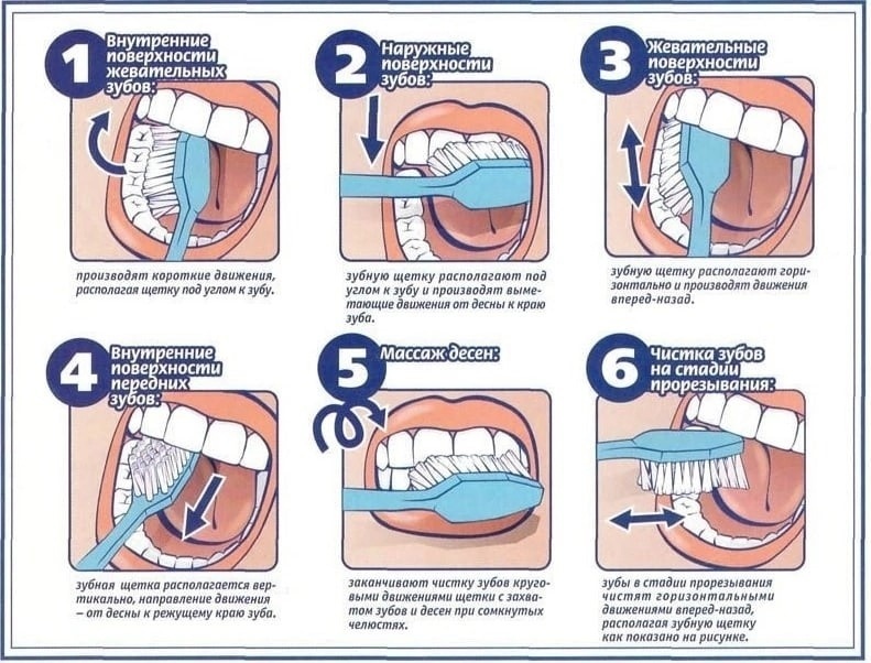 Как правильно чистить зубы