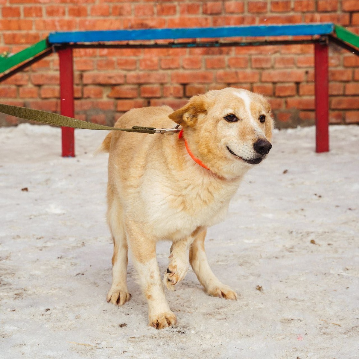 Заслуживает жить в семье, быть любимым и нужным!