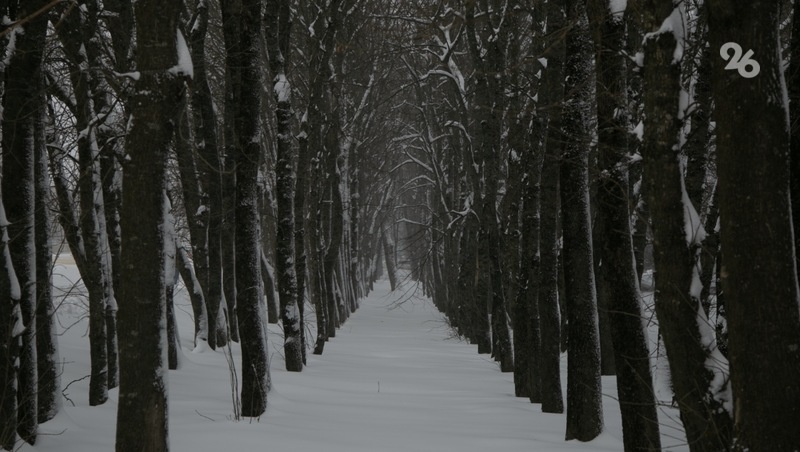      Фото: Валерия Алтухова / / ИА «Победа26»
