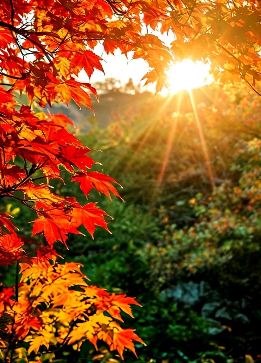 Душа иди на свет...