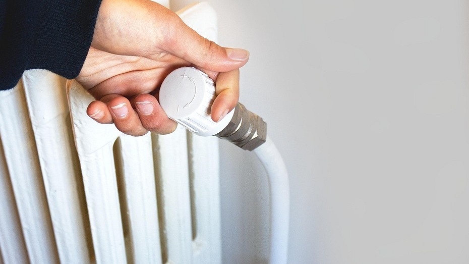 Фото здесь и далее Pixabay