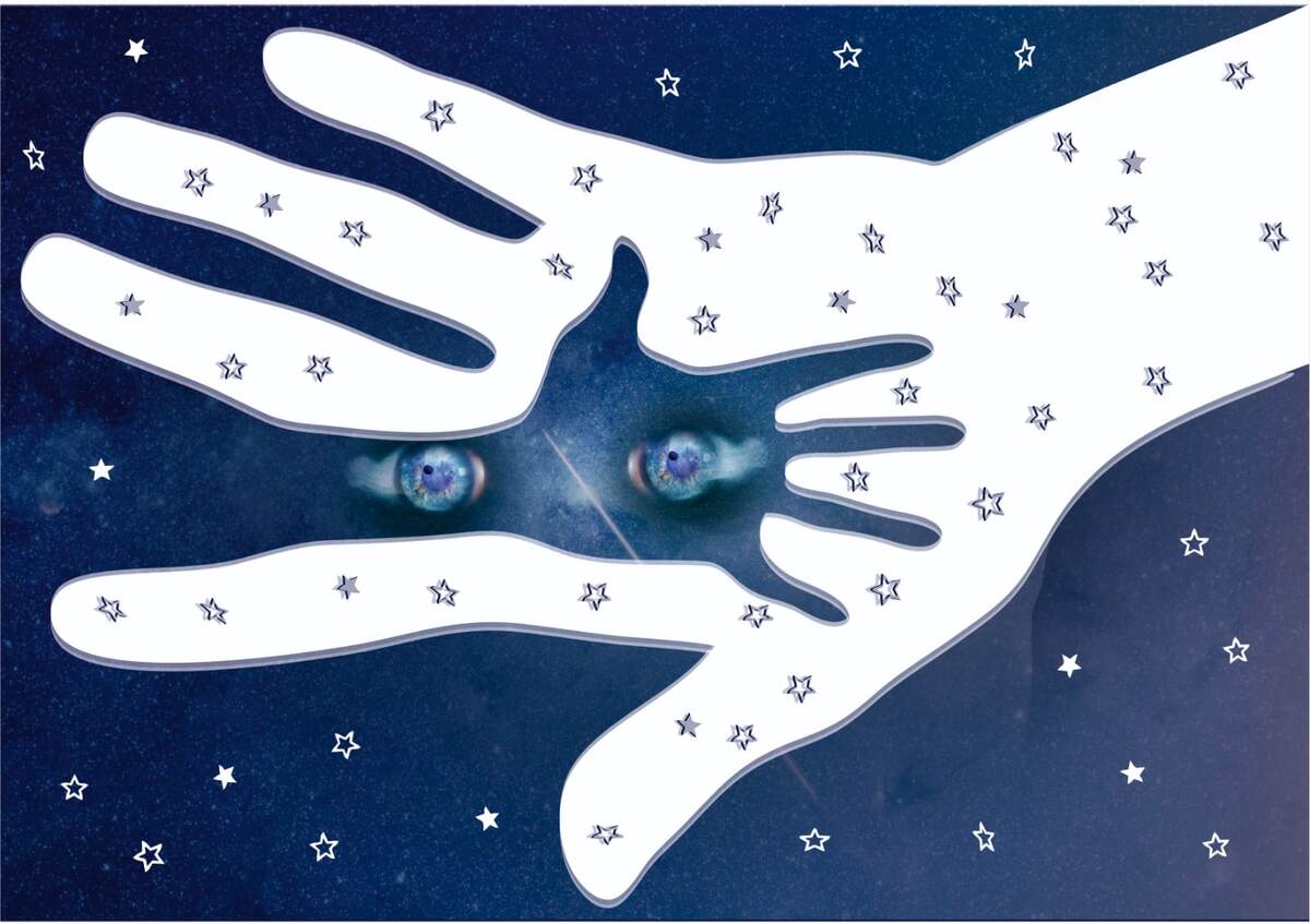 Моя личная метафора тьюторского сопровождения