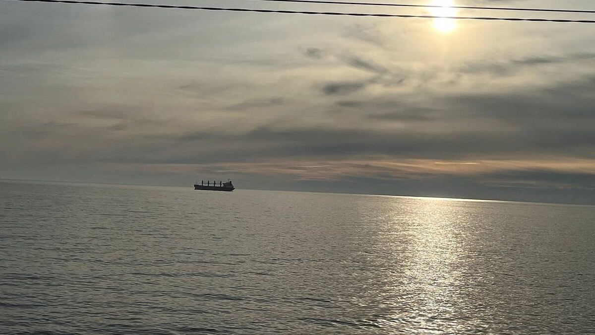    фото: телеканал «Краснодар»