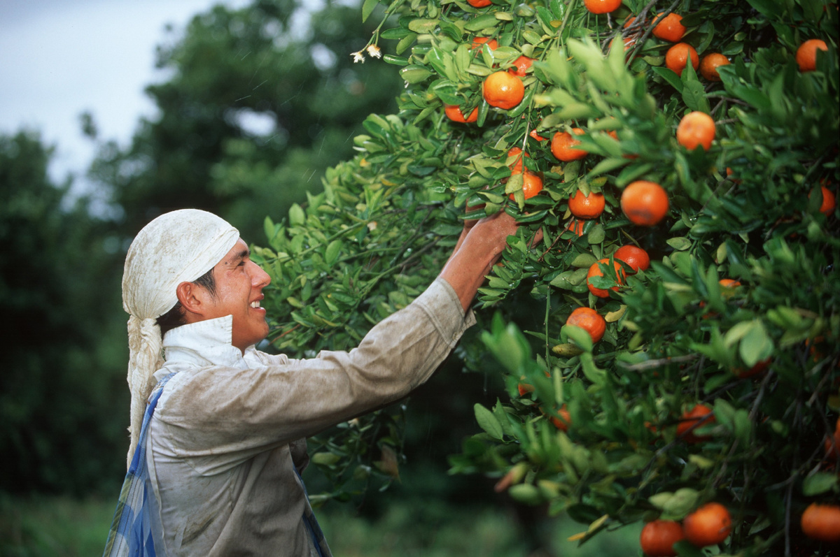 Фото: © Russell Gordon/ Russell Gordon / DanitaDelimont./ Global Look Press
