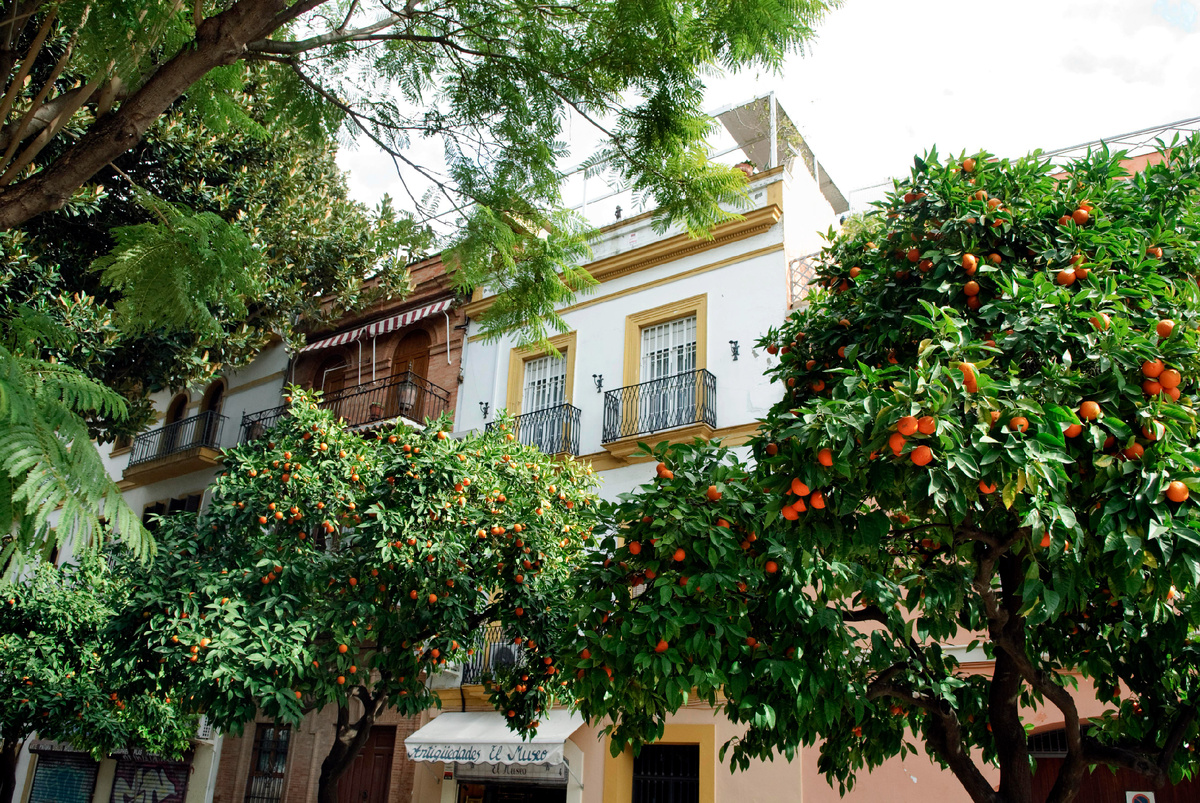 Фото: © mirafoto/ imageBROKER.com/ Global Look Press