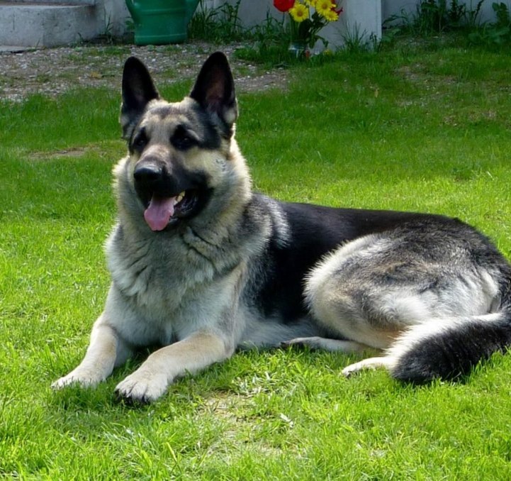 Из открытых источников.