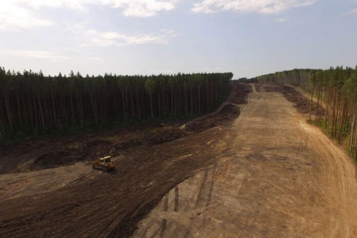    Фото: oblgazeta.ru Георгий