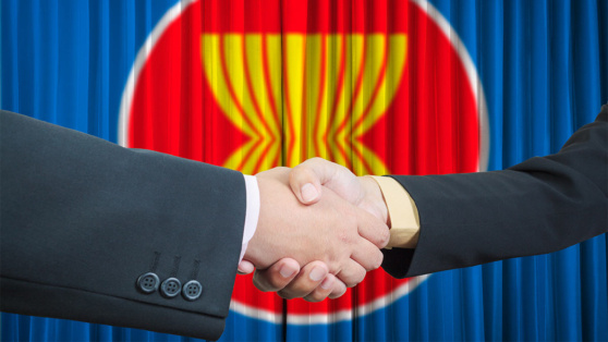    Страны АСЕАН проведут саммит с США для обсуждения тарифов Трампа Виктория Шварц