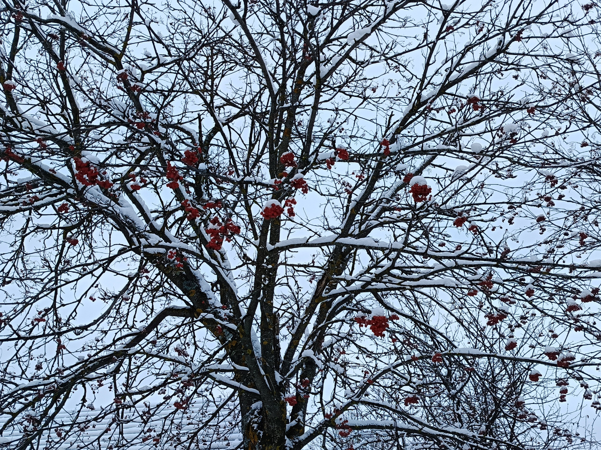 Фото автора статьи. 