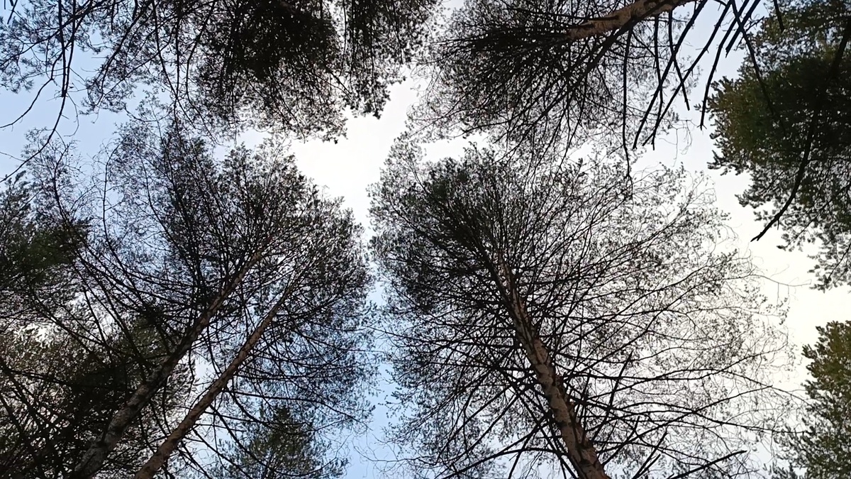 Фото автора статьи. 