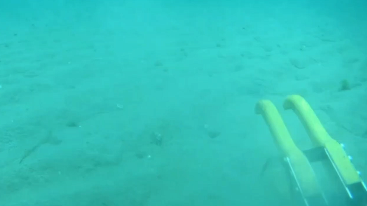    Фото: телеканал «Краснодар»