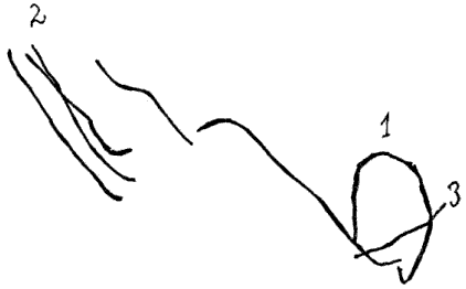 «Волк на веревке», источник: www.defectologiya.pro