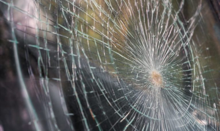    Фото: Freepik / jannoon028 Илья Федоров