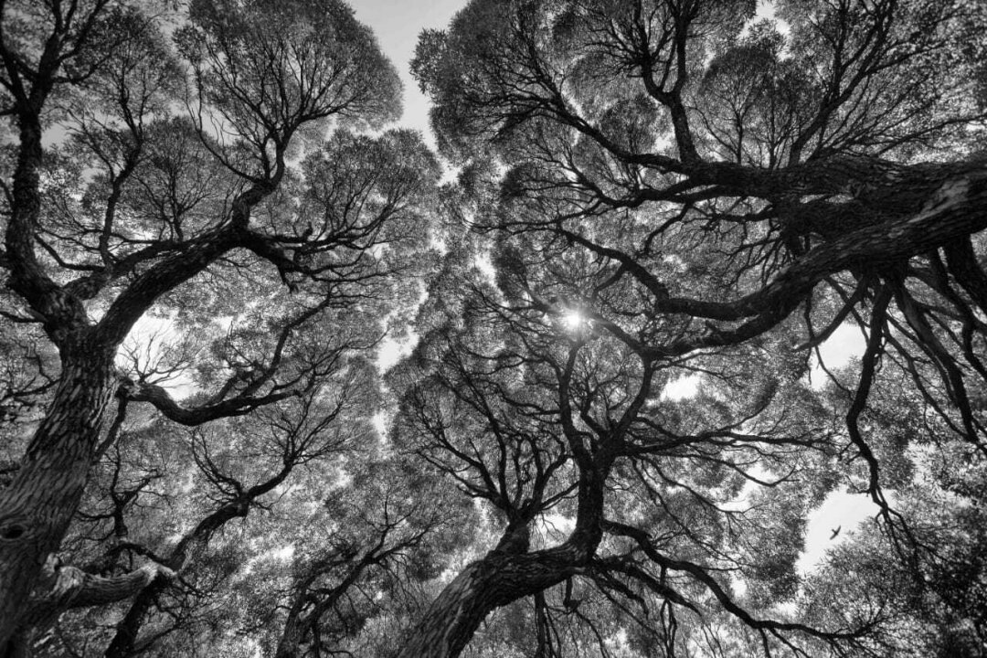    Фото: Изображение предоставлено Собака.ru пресс-службой арт-пространства «Сегоднязавтра»