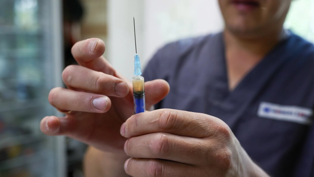    Фото: Petrov Sergey/news.ru/Global Look Press