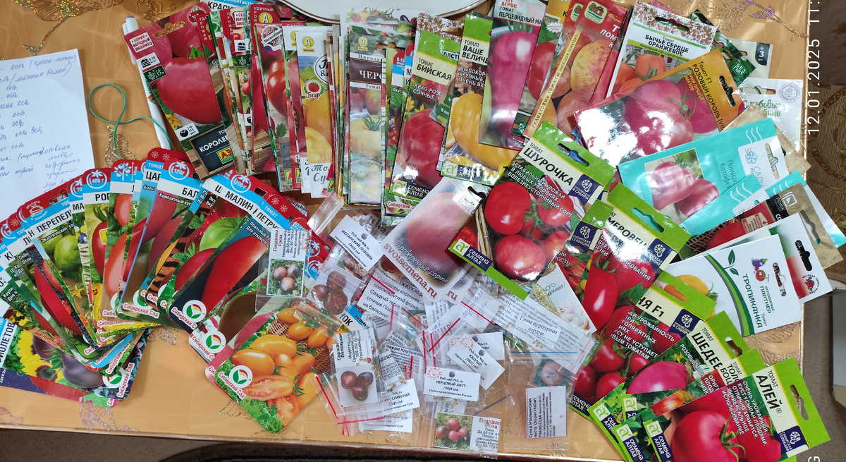 Разбегаются  глазоньки( фото из личного архива)