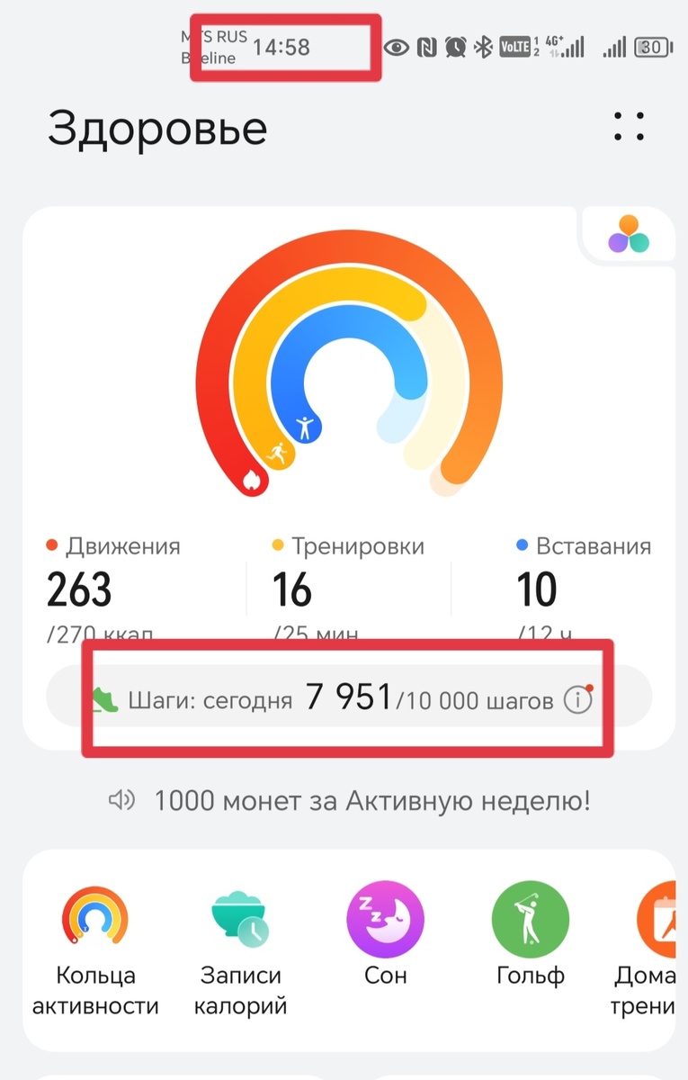 Присела передохнуть, вечером ещё не меньше 2000 натопаю. Upd - натопала за 13000