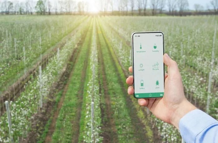 Агрохолдинг «Степь» тестирует и внедряет различные успешные разработки на основе ИИ. // Иллюстрация: соцсети компании