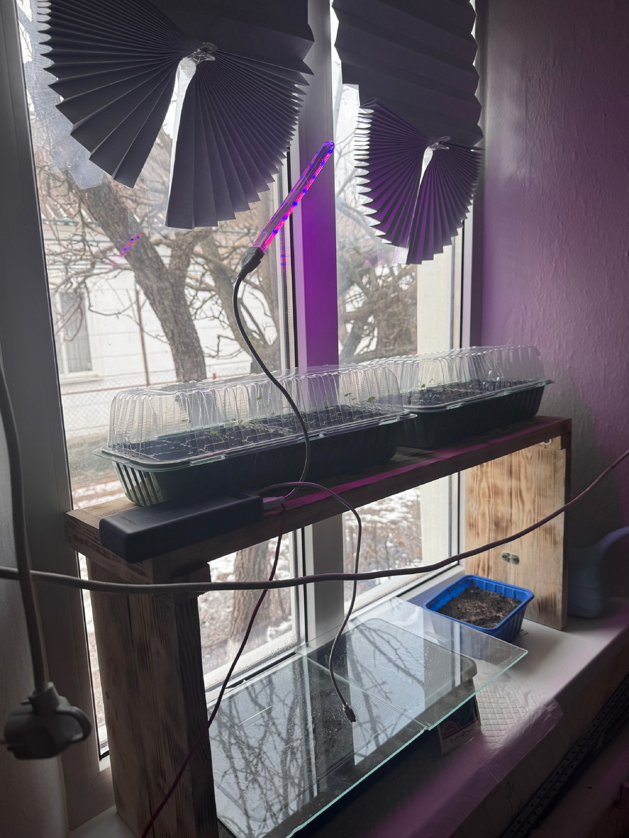 Моя двухэтажная грядка)