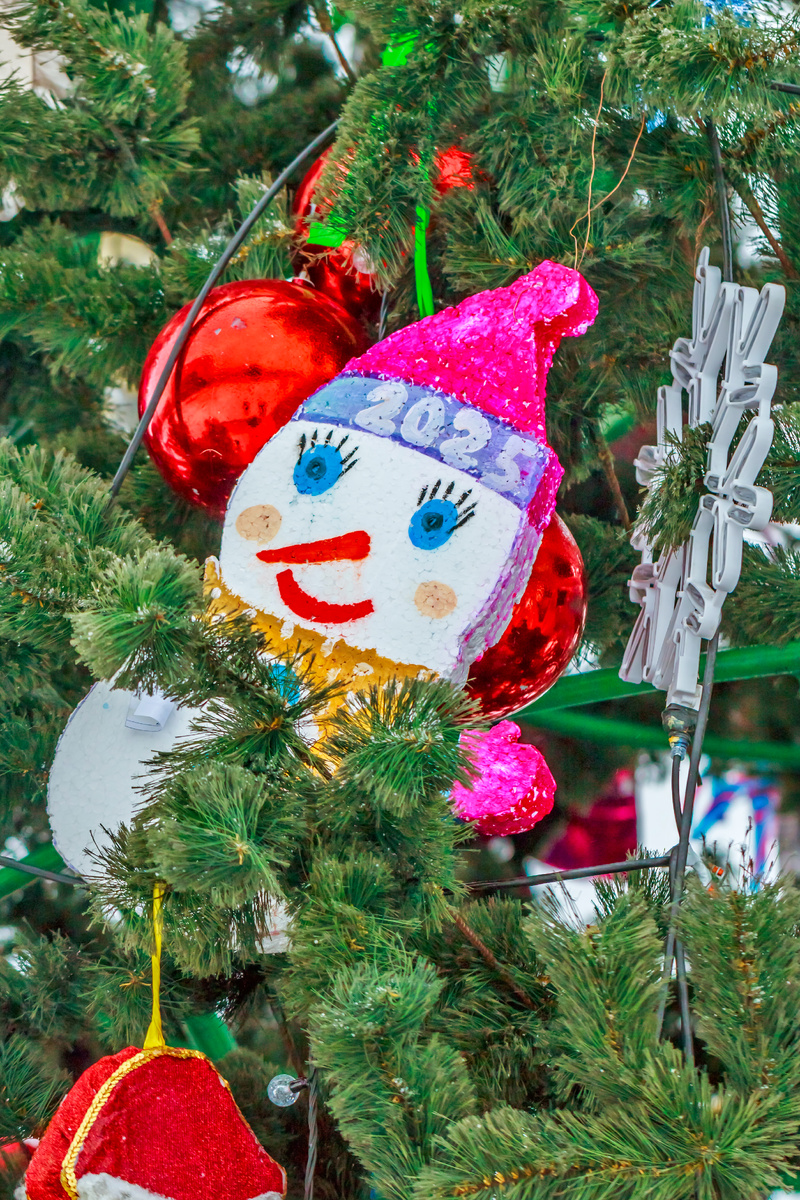 Бердск новогодний. Новосибирская область, Западная Сибирь. 2025