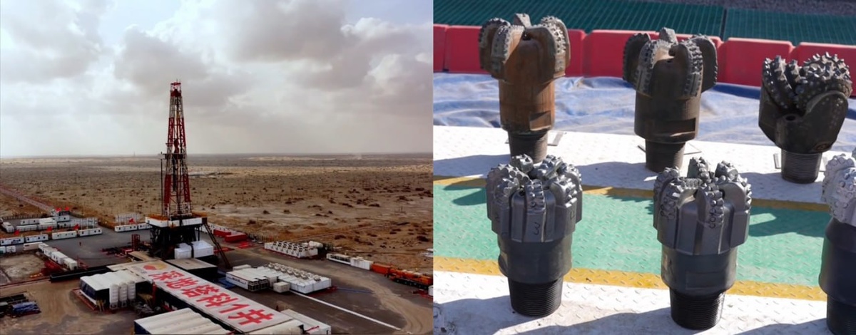 Фото: Science and Technology Daily  📷
